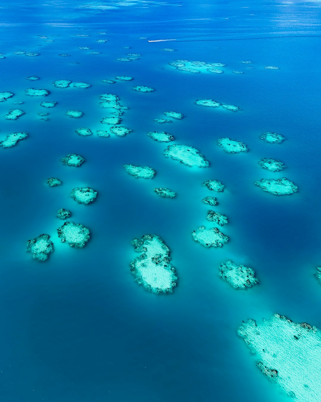 bermuda