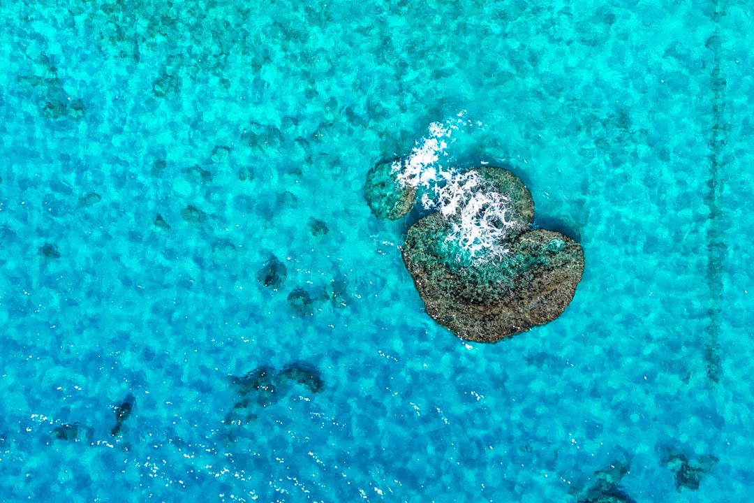 bermuda