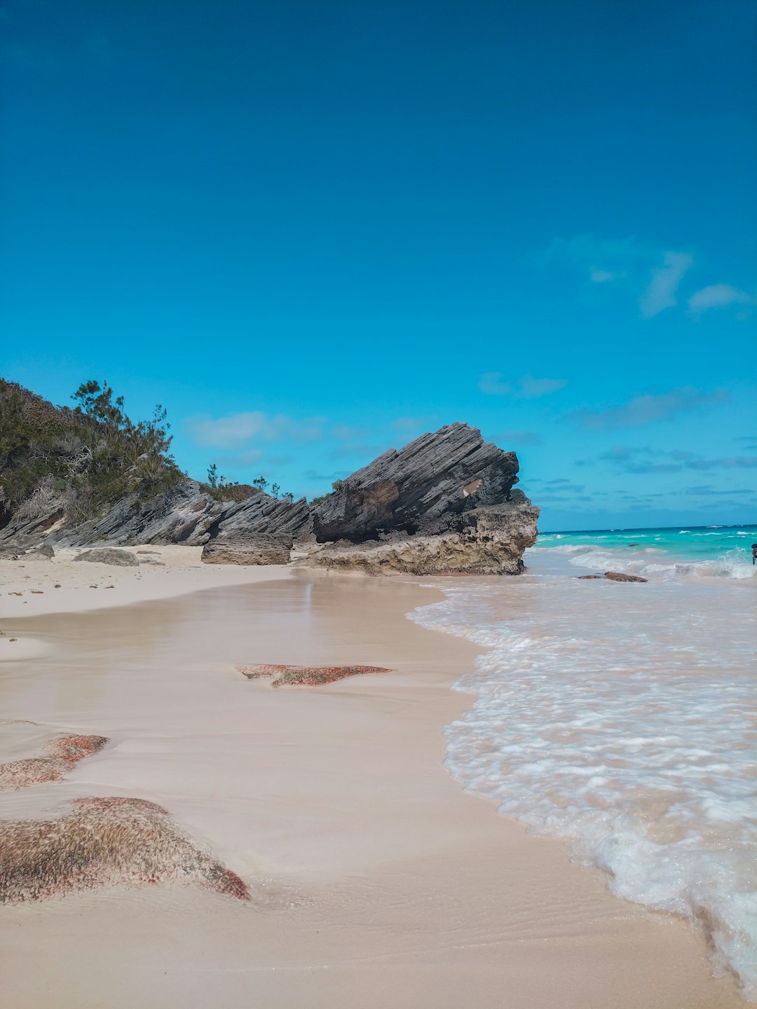 bermuda