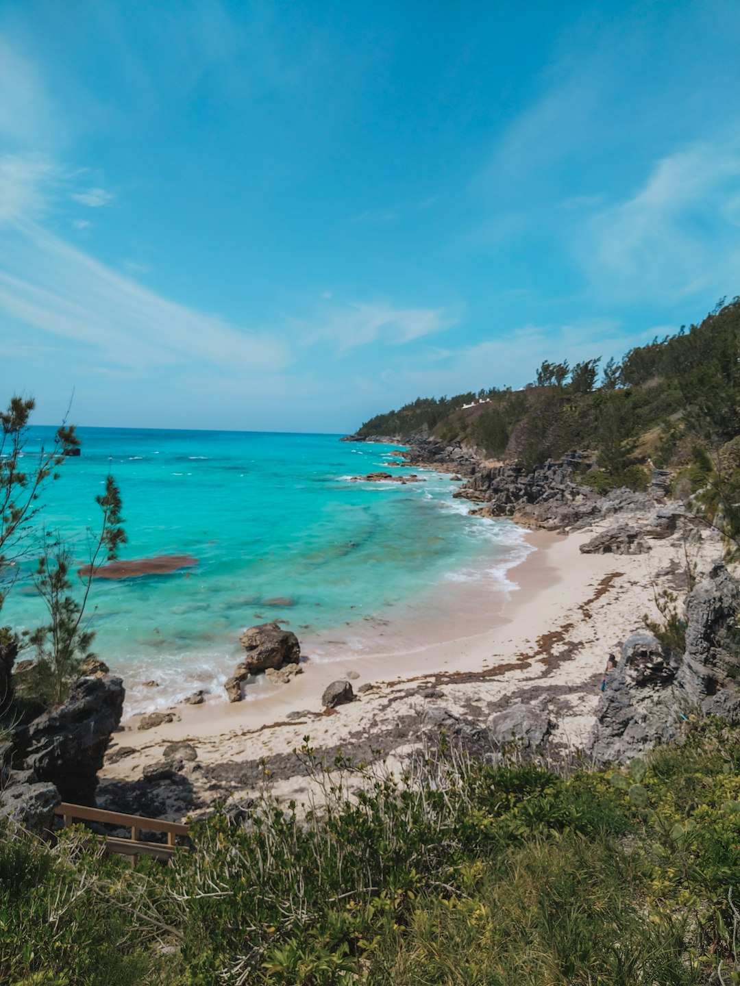 bermuda