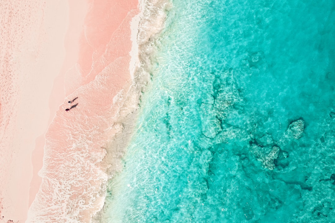 bermuda