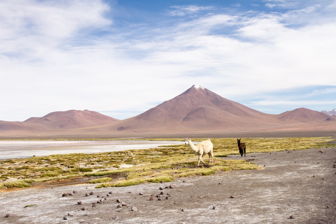bolivia