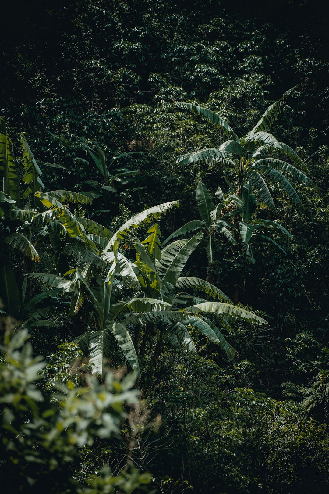 costa_rica