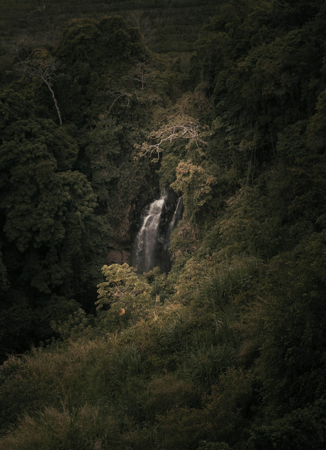 costa_rica