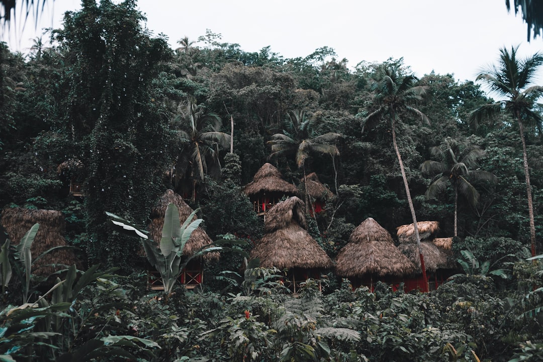 dominican_republic