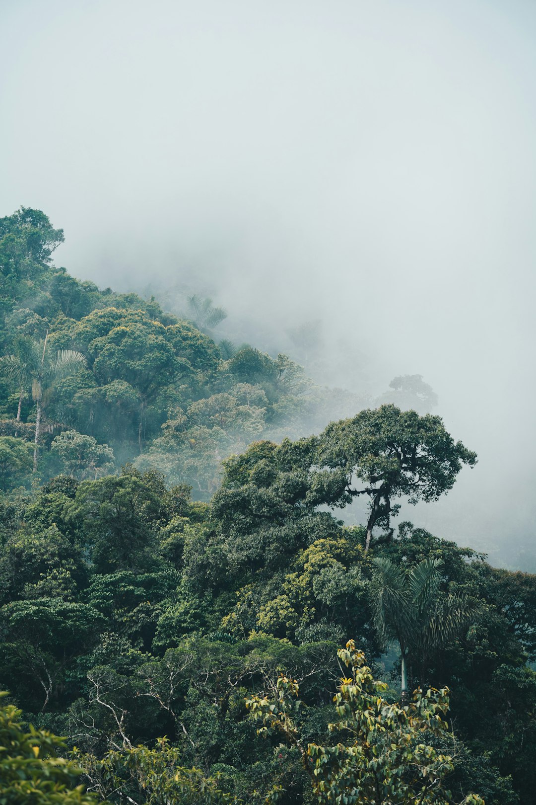 ecuador
