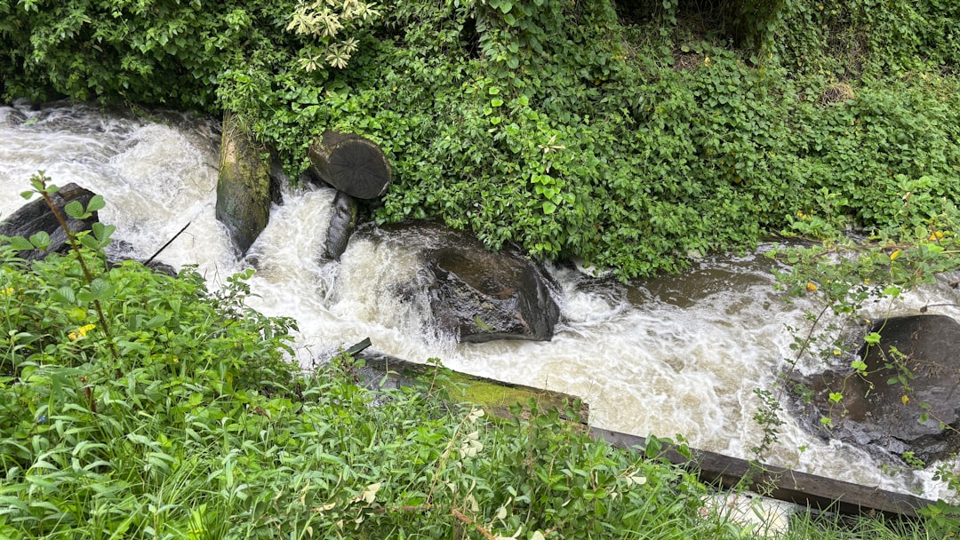 ecuador