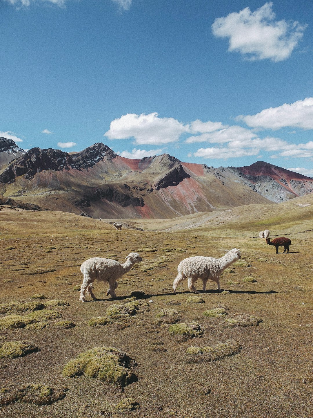 peru